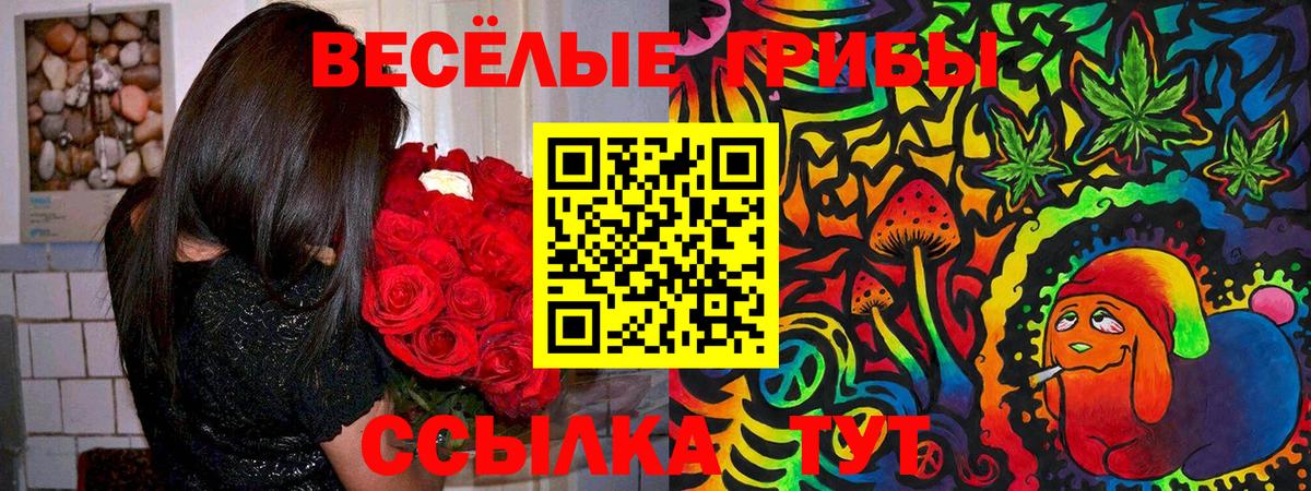 Галлюциногенные грибы мицелий  Галлюциногенные грибы мухоморы  Вход с VPN  Калининград 