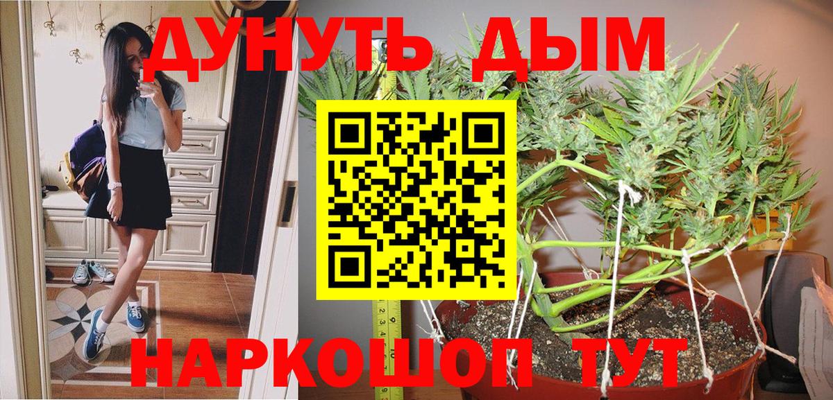 Канабис ГИДРОПОН  Канабис семена  Калининград  Вход с VPN  Бошки марихуана сатива 